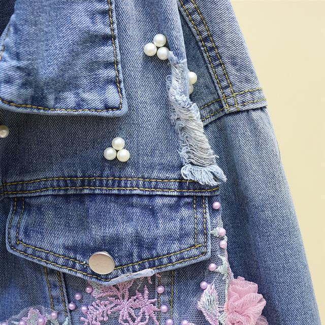Roselyn Embroidered Jacket