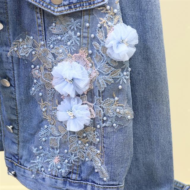 Roselyn Embroidered Jacket